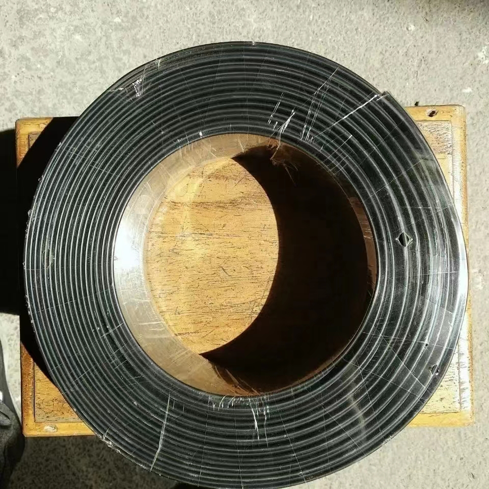 DBR-P/J-220V阻燃防爆电伴热带